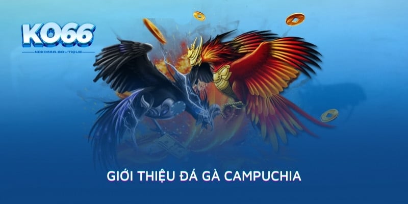 Giới thiệu đá gà Campuchia