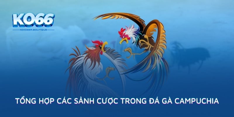 Tổng hợp các sảnh cược trong đá gà Campuchia